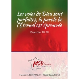 Calendrier Trésors 2027