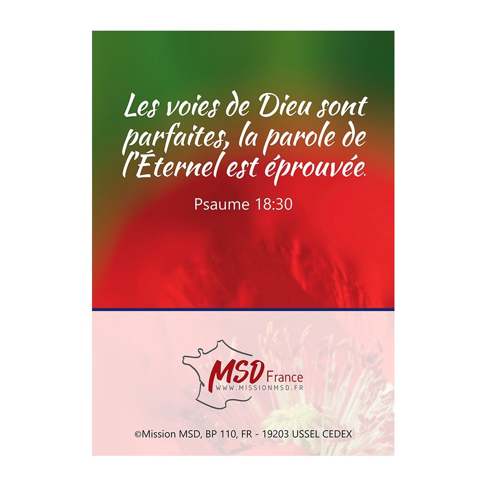 Calendrier Trésors 2026