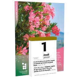La Bonne Semence, Bloc et Plaque, 2026