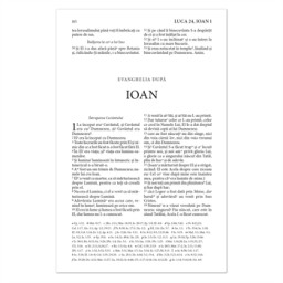 Nouveau Testament et Psaumes en Roumain