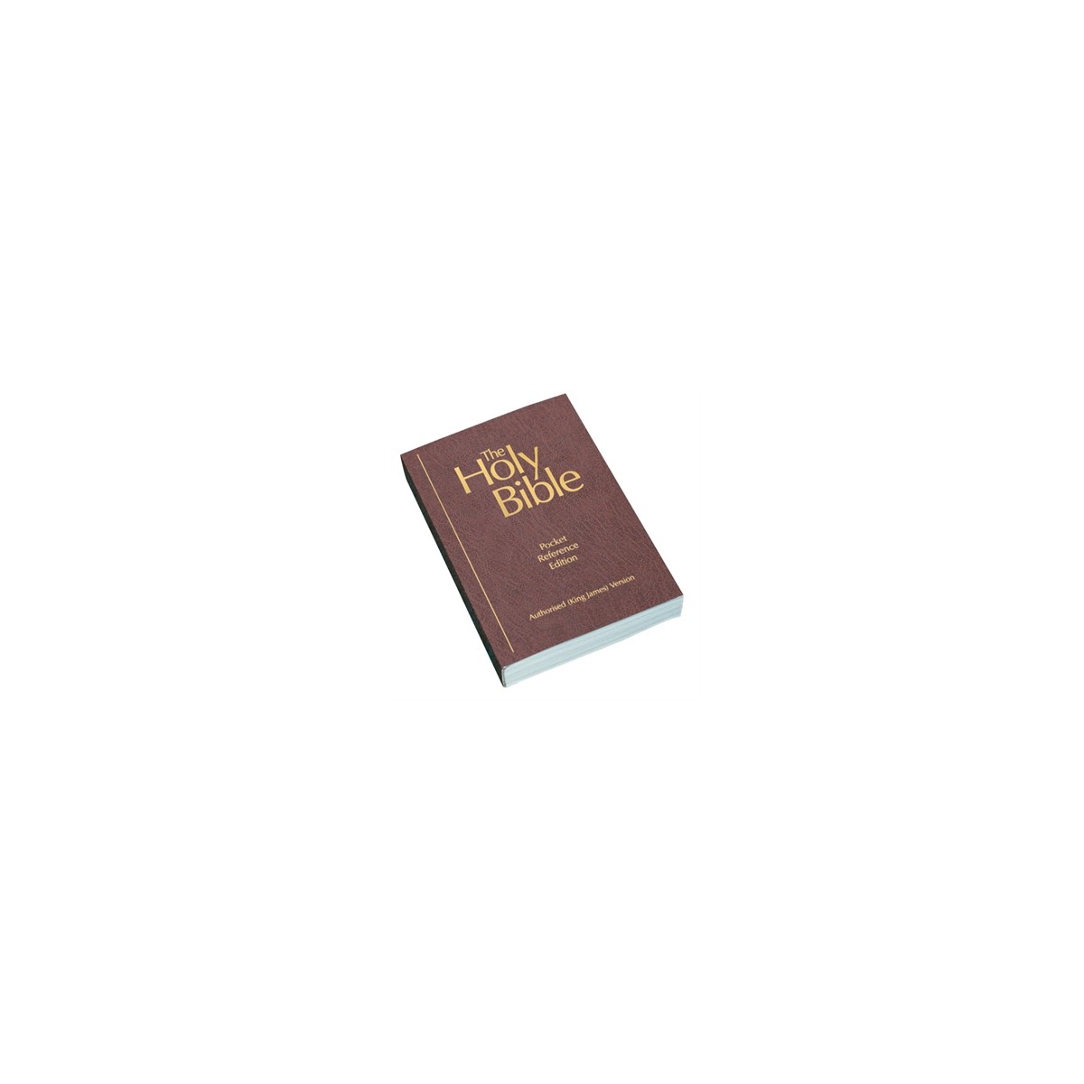 Bible de poche en Anglais, bordeaux avec références, version King James