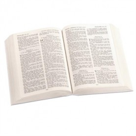 Bible en Anglais, petit modèle souple, version King James