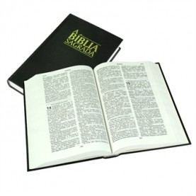 Bible en Portugais noire,...